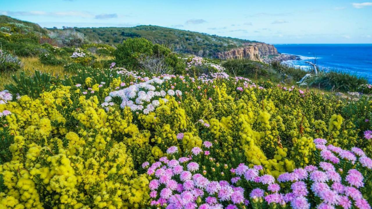 By The Sea Margaret River Gnarabup Exterior photo